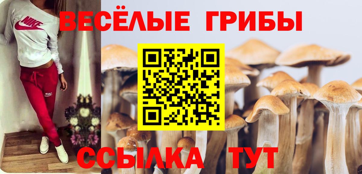 даркнет сайт  Вход с VPN  Мыски  Псилоцибиновые грибы мухоморы 